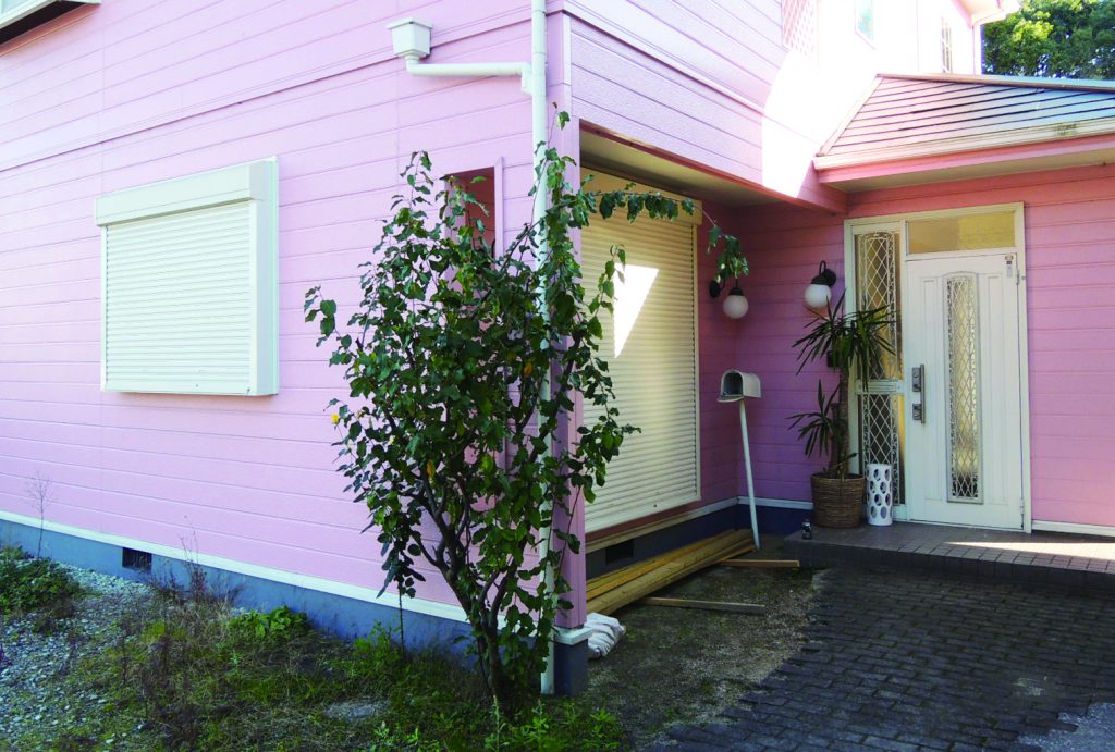 pinkhouse-1024x691.jpg
